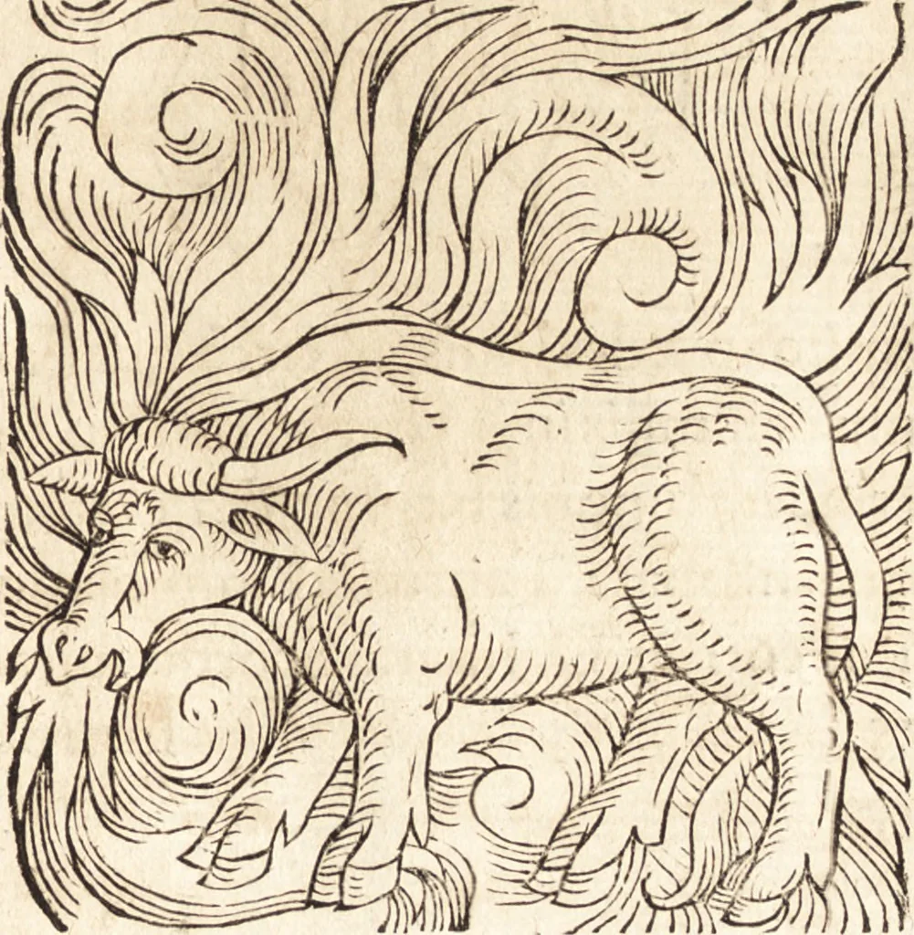 An illustration from Prodigiorvm ac ostentorvm chronicon : quae praeter naturae ordinem, motum, et operationem, et in svperioribus & his inferioribus mundi regionibus, ab exordio mundi usque ad haec nostra tempora, acciderunt ..., 1557, leaf 176