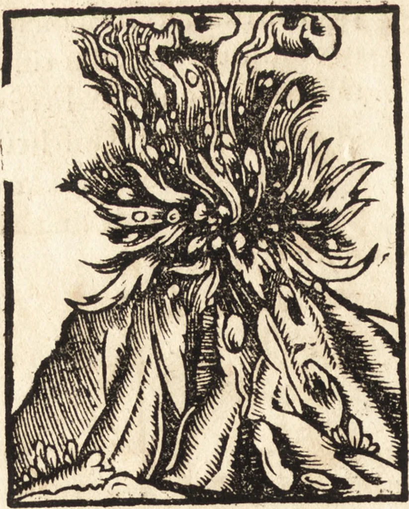 An illustration from Prodigiorvm ac ostentorvm chronicon : quae praeter naturae ordinem, motum, et operationem, et in svperioribus & his inferioribus mundi regionibus, ab exordio mundi usque ad haec nostra tempora, acciderunt ..., 1557, leaf 181