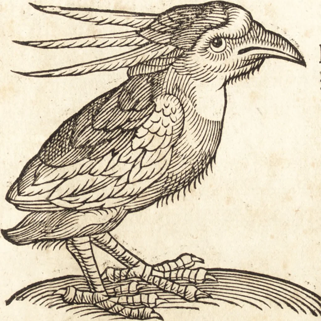 An illustration from Prodigiorvm ac ostentorvm chronicon : quae praeter naturae ordinem, motum, et operationem, et in svperioribus & his inferioribus mundi regionibus, ab exordio mundi usque ad haec nostra tempora, acciderunt ..., 1557, leaf 184