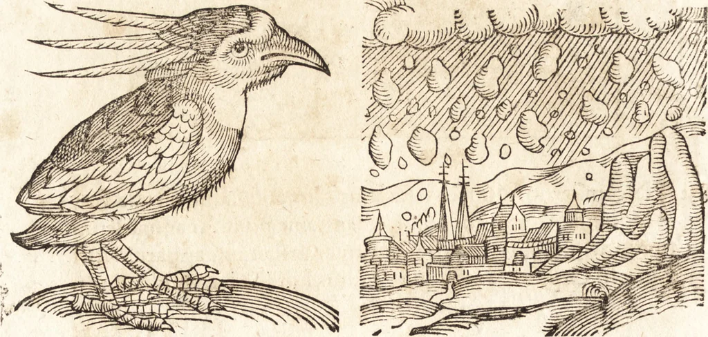 An illustration from Prodigiorvm ac ostentorvm chronicon : quae praeter naturae ordinem, motum, et operationem, et in svperioribus & his inferioribus mundi regionibus, ab exordio mundi usque ad haec nostra tempora, acciderunt ..., 1557, leaf 185