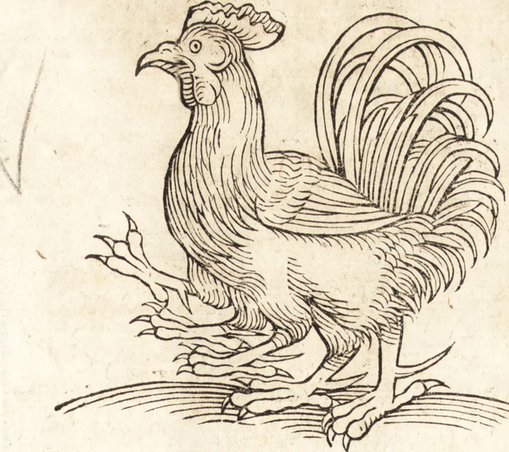 An illustration from Prodigiorvm ac ostentorvm chronicon : quae praeter naturae ordinem, motum, et operationem, et in svperioribus & his inferioribus mundi regionibus, ab exordio mundi usque ad haec nostra tempora, acciderunt ..., 1557, leaf 188