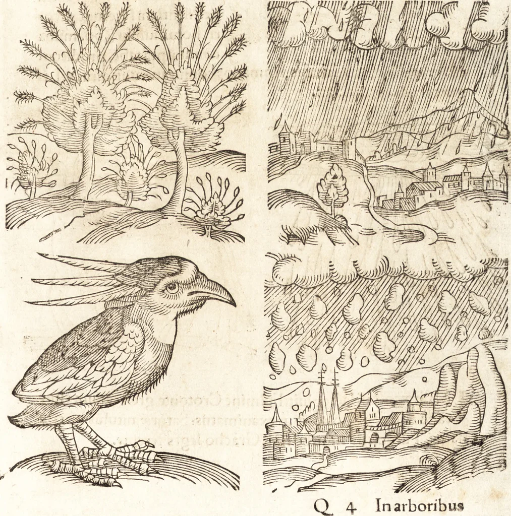An illustration from Prodigiorvm ac ostentorvm chronicon : quae praeter naturae ordinem, motum, et operationem, et in svperioribus & his inferioribus mundi regionibus, ab exordio mundi usque ad haec nostra tempora, acciderunt ..., 1557, leaf 190