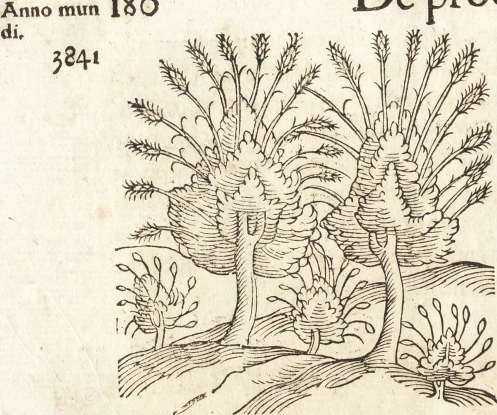 An illustration from Prodigiorvm ac ostentorvm chronicon : quae praeter naturae ordinem, motum, et operationem, et in svperioribus & his inferioribus mundi regionibus, ab exordio mundi usque ad haec nostra tempora, acciderunt ..., 1557, leaf 191