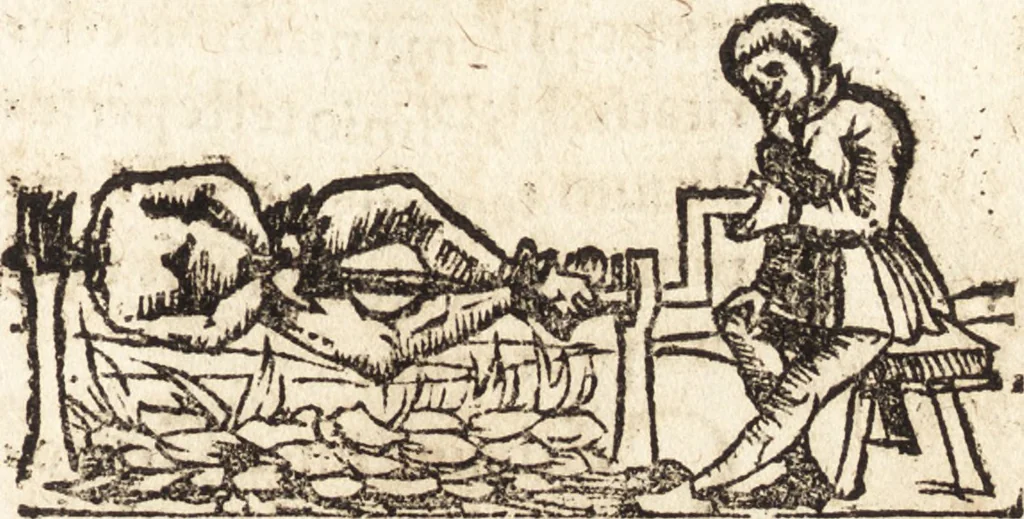 An illustration from Prodigiorvm ac ostentorvm chronicon : quae praeter naturae ordinem, motum, et operationem, et in svperioribus & his inferioribus mundi regionibus, ab exordio mundi usque ad haec nostra tempora, acciderunt ..., 1557, leaf 20