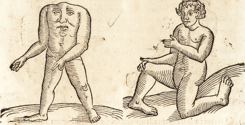 An illustration from Prodigiorvm ac ostentorvm chronicon : quae praeter naturae ordinem, motum, et operationem, et in svperioribus & his inferioribus mundi regionibus, ab exordio mundi usque ad haec nostra tempora, acciderunt ..., 1557, leaf 20