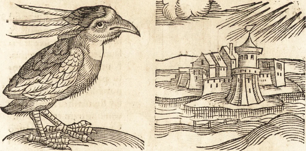 An illustration from Prodigiorvm ac ostentorvm chronicon : quae praeter naturae ordinem, motum, et operationem, et in svperioribus & his inferioribus mundi regionibus, ab exordio mundi usque ad haec nostra tempora, acciderunt ..., 1557, leaf 206