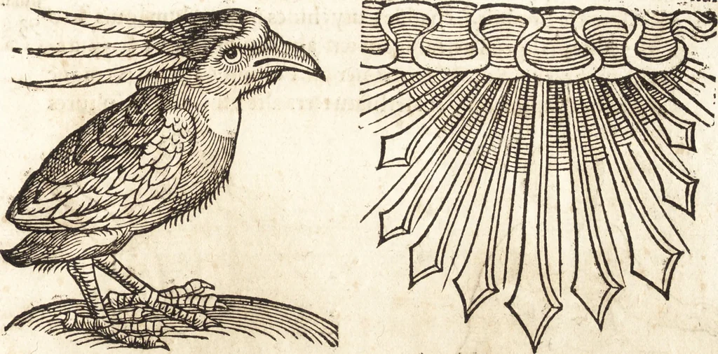 An illustration from Prodigiorvm ac ostentorvm chronicon : quae praeter naturae ordinem, motum, et operationem, et in svperioribus & his inferioribus mundi regionibus, ab exordio mundi usque ad haec nostra tempora, acciderunt ..., 1557, leaf 208