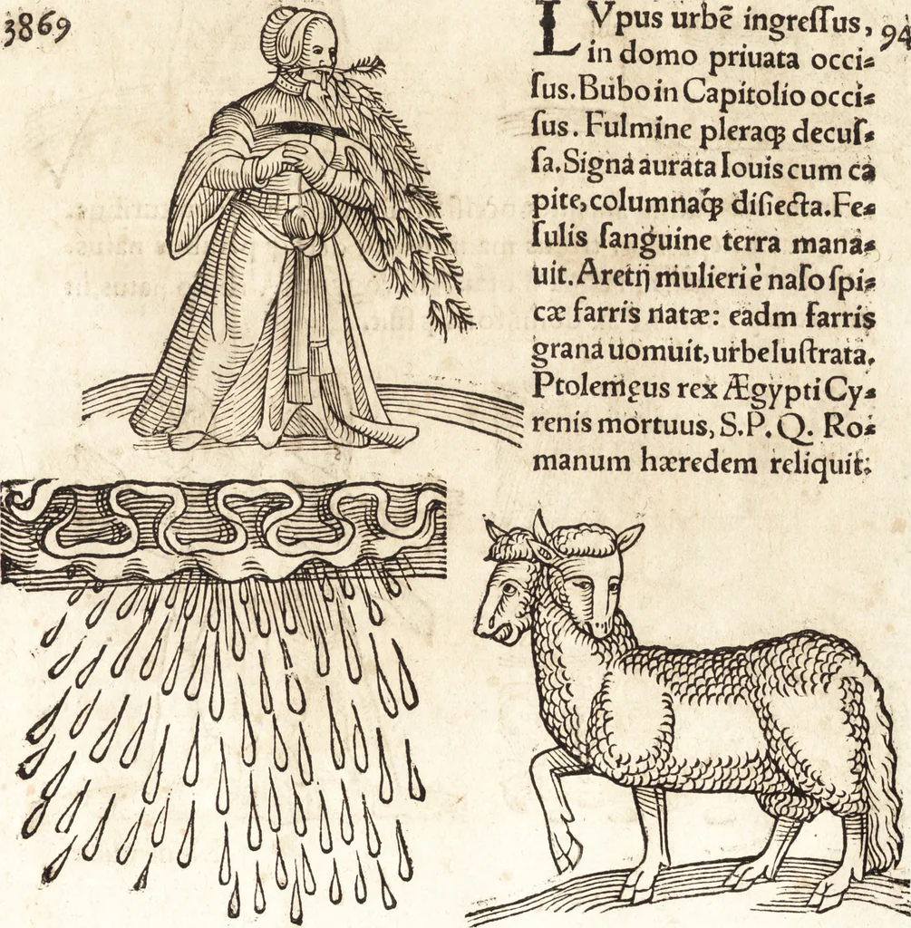 An illustration from Prodigiorvm ac ostentorvm chronicon : quae praeter naturae ordinem, motum, et operationem, et in svperioribus & his inferioribus mundi regionibus, ab exordio mundi usque ad haec nostra tempora, acciderunt ..., 1557, leaf 208