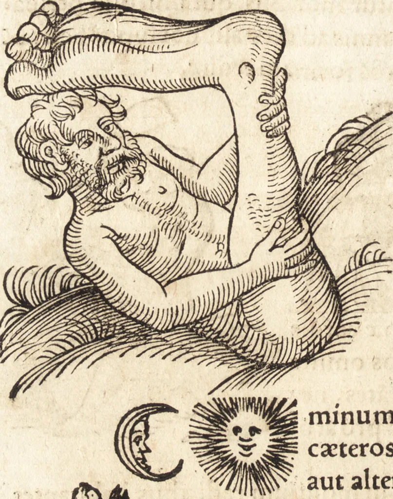 An illustration from Prodigiorvm ac ostentorvm chronicon : quae praeter naturae ordinem, motum, et operationem, et in svperioribus & his inferioribus mundi regionibus, ab exordio mundi usque ad haec nostra tempora, acciderunt ..., 1557, leaf 21