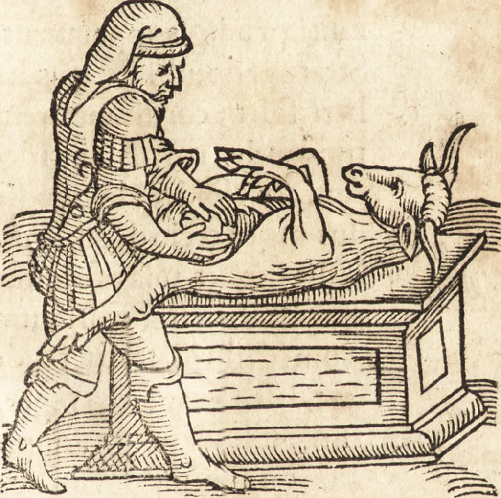 An illustration from Prodigiorvm ac ostentorvm chronicon : quae praeter naturae ordinem, motum, et operationem, et in svperioribus & his inferioribus mundi regionibus, ab exordio mundi usque ad haec nostra tempora, acciderunt ..., 1557, leaf 216