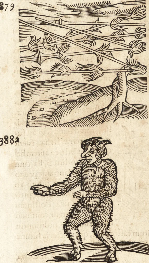 An illustration from Prodigiorvm ac ostentorvm chronicon : quae praeter naturae ordinem, motum, et operationem, et in svperioribus & his inferioribus mundi regionibus, ab exordio mundi usque ad haec nostra tempora, acciderunt ..., 1557, leaf 219