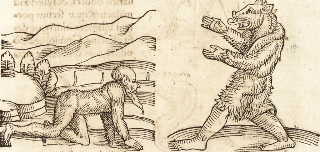 An illustration from Prodigiorvm ac ostentorvm chronicon : quae praeter naturae ordinem, motum, et operationem, et in svperioribus & his inferioribus mundi regionibus, ab exordio mundi usque ad haec nostra tempora, acciderunt ..., 1557, leaf 22