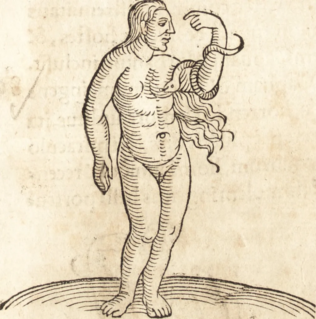 An illustration from Prodigiorvm ac ostentorvm chronicon : quae praeter naturae ordinem, motum, et operationem, et in svperioribus & his inferioribus mundi regionibus, ab exordio mundi usque ad haec nostra tempora, acciderunt ..., 1557, leaf 220
