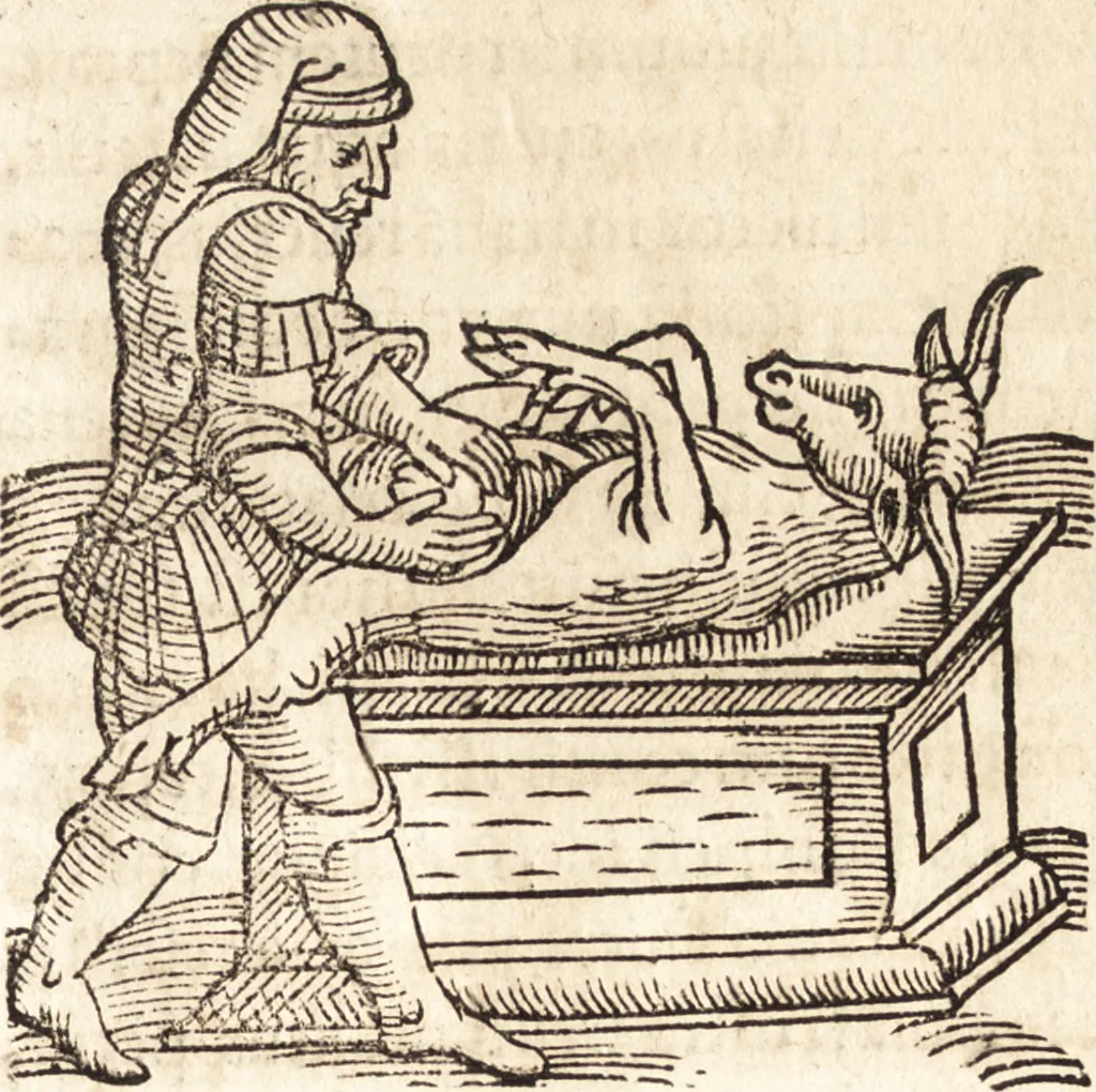 An illustration from Prodigiorvm ac ostentorvm chronicon : quae praeter naturae ordinem, motum, et operationem, et in svperioribus & his inferioribus mundi regionibus, ab exordio mundi usque ad haec nostra tempora, acciderunt ..., 1557, leaf 220