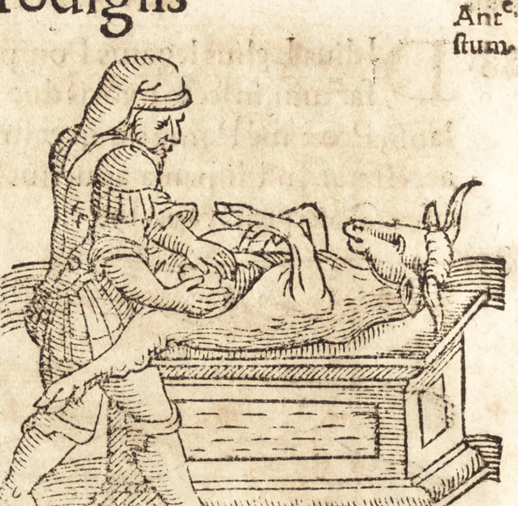 An illustration from Prodigiorvm ac ostentorvm chronicon : quae praeter naturae ordinem, motum, et operationem, et in svperioribus & his inferioribus mundi regionibus, ab exordio mundi usque ad haec nostra tempora, acciderunt ..., 1557, leaf 223