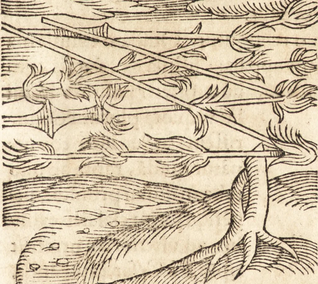 An illustration from Prodigiorvm ac ostentorvm chronicon : quae praeter naturae ordinem, motum, et operationem, et in svperioribus & his inferioribus mundi regionibus, ab exordio mundi usque ad haec nostra tempora, acciderunt ..., 1557, leaf 228