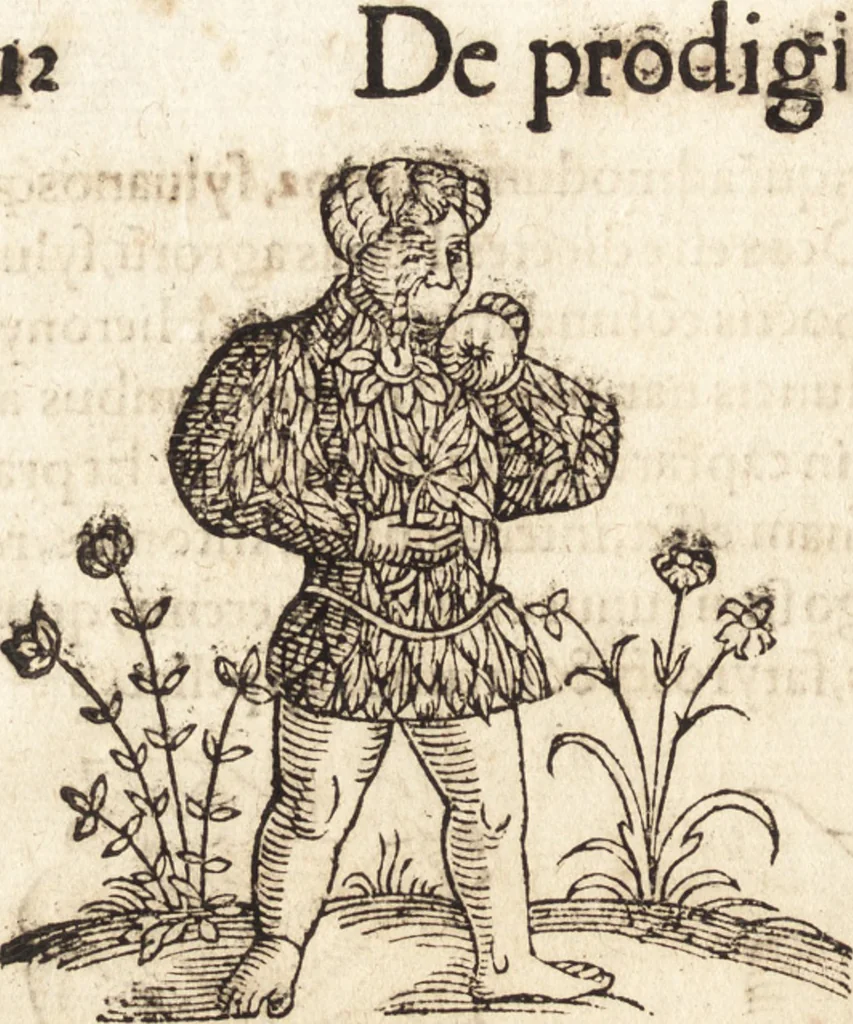 An illustration from Prodigiorvm ac ostentorvm chronicon : quae praeter naturae ordinem, motum, et operationem, et in svperioribus & his inferioribus mundi regionibus, ab exordio mundi usque ad haec nostra tempora, acciderunt ..., 1557, leaf 23