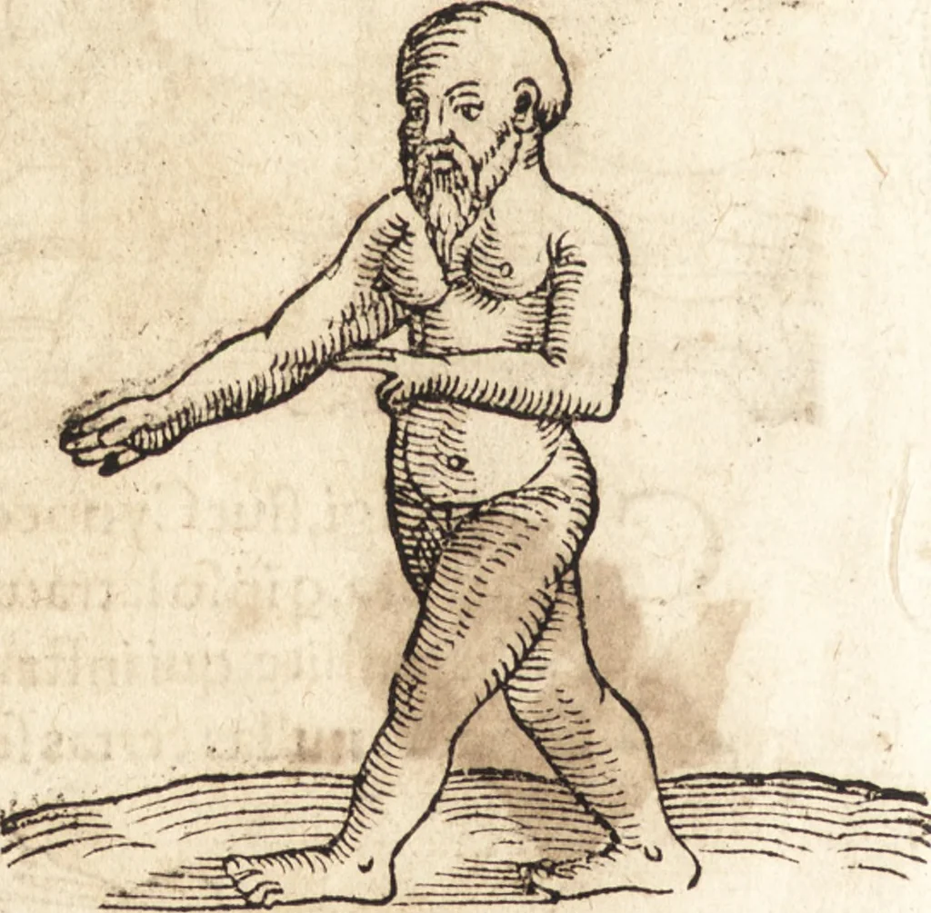 An illustration from Prodigiorvm ac ostentorvm chronicon : quae praeter naturae ordinem, motum, et operationem, et in svperioribus & his inferioribus mundi regionibus, ab exordio mundi usque ad haec nostra tempora, acciderunt ..., 1557, leaf 23