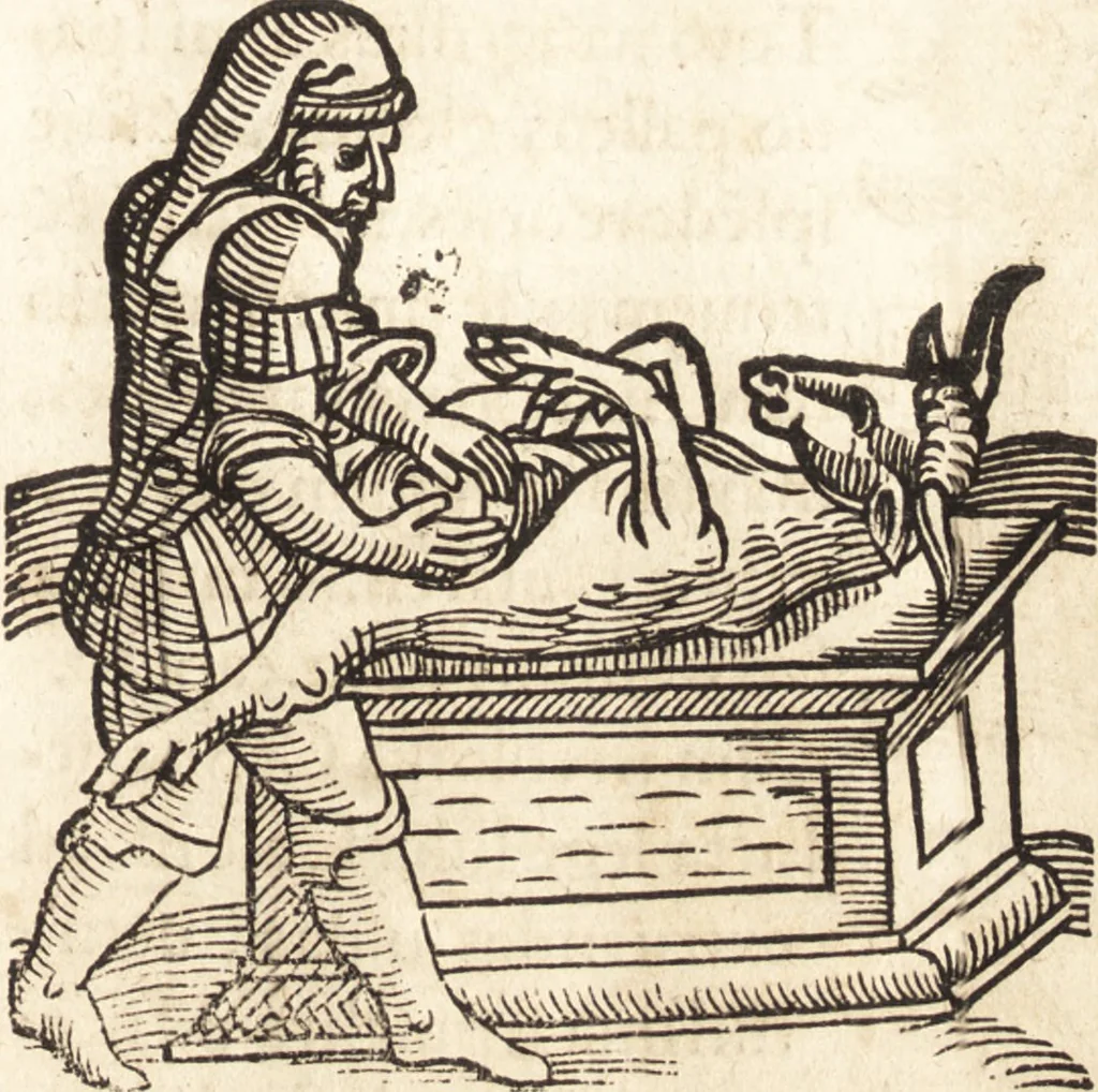 An illustration from Prodigiorvm ac ostentorvm chronicon : quae praeter naturae ordinem, motum, et operationem, et in svperioribus & his inferioribus mundi regionibus, ab exordio mundi usque ad haec nostra tempora, acciderunt ..., 1557, leaf 232