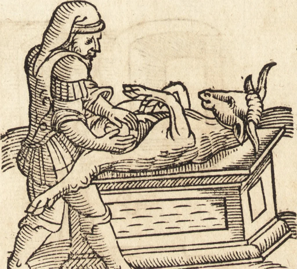 An illustration from Prodigiorvm ac ostentorvm chronicon : quae praeter naturae ordinem, motum, et operationem, et in svperioribus & his inferioribus mundi regionibus, ab exordio mundi usque ad haec nostra tempora, acciderunt ..., 1557, leaf 239