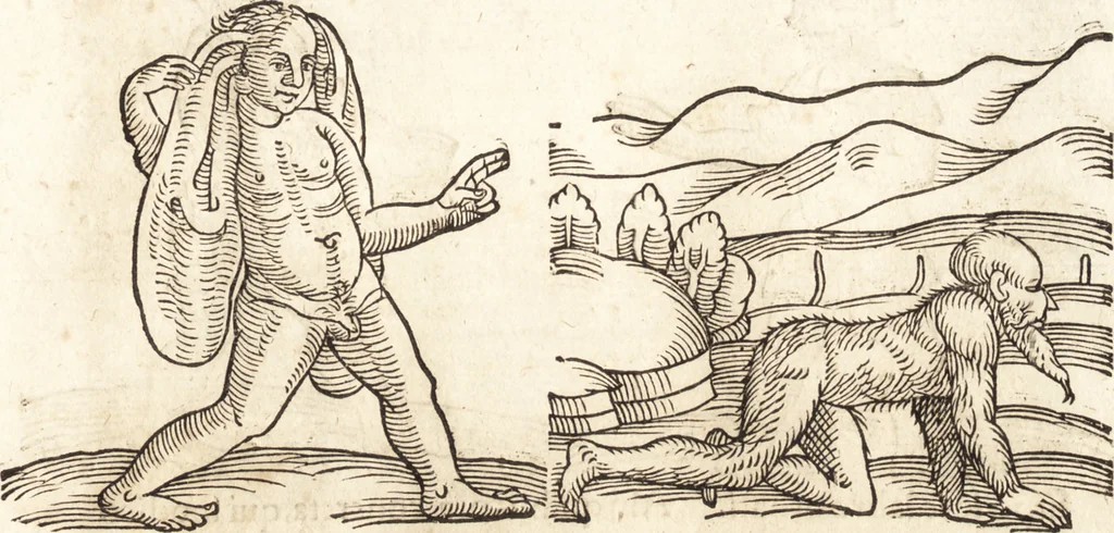 An illustration from Prodigiorvm ac ostentorvm chronicon : quae praeter naturae ordinem, motum, et operationem, et in svperioribus & his inferioribus mundi regionibus, ab exordio mundi usque ad haec nostra tempora, acciderunt ..., 1557, leaf 24