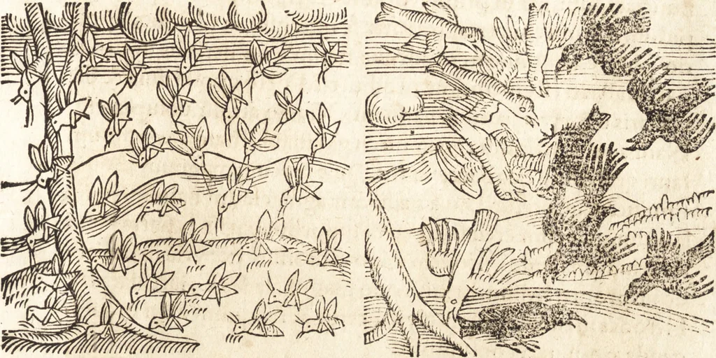 An illustration from Prodigiorvm ac ostentorvm chronicon : quae praeter naturae ordinem, motum, et operationem, et in svperioribus & his inferioribus mundi regionibus, ab exordio mundi usque ad haec nostra tempora, acciderunt ..., 1557, leaf 242