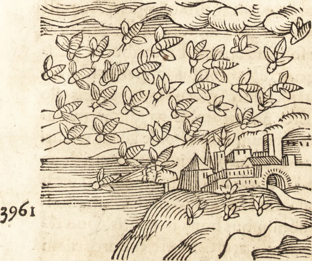 An illustration from Prodigiorvm ac ostentorvm chronicon : quae praeter naturae ordinem, motum, et operationem, et in svperioribus & his inferioribus mundi regionibus, ab exordio mundi usque ad haec nostra tempora, acciderunt ..., 1557, leaf 248