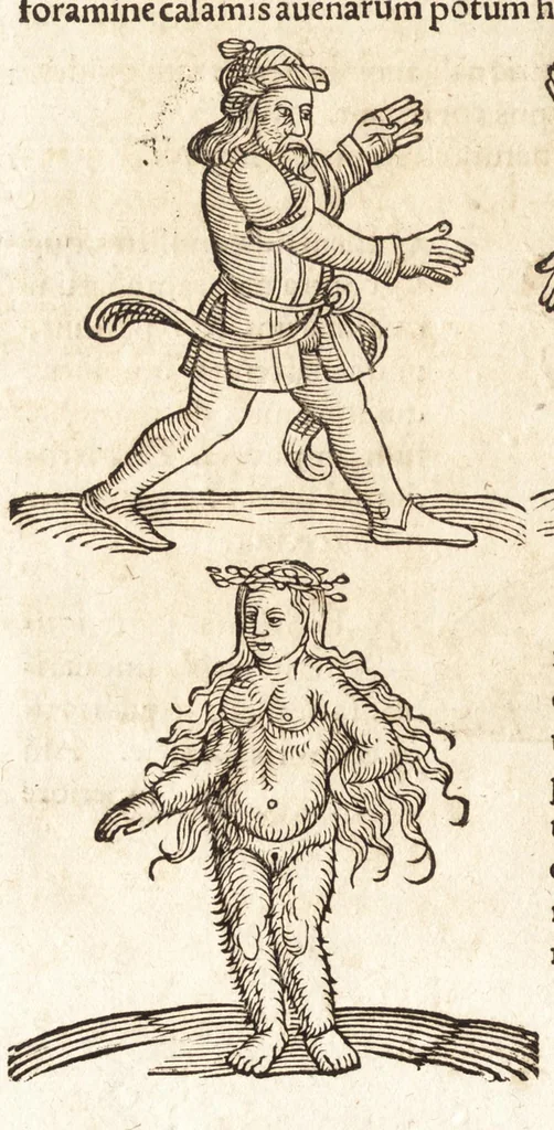 An illustration from Prodigiorvm ac ostentorvm chronicon : quae praeter naturae ordinem, motum, et operationem, et in svperioribus & his inferioribus mundi regionibus, ab exordio mundi usque ad haec nostra tempora, acciderunt ..., 1557, leaf 25