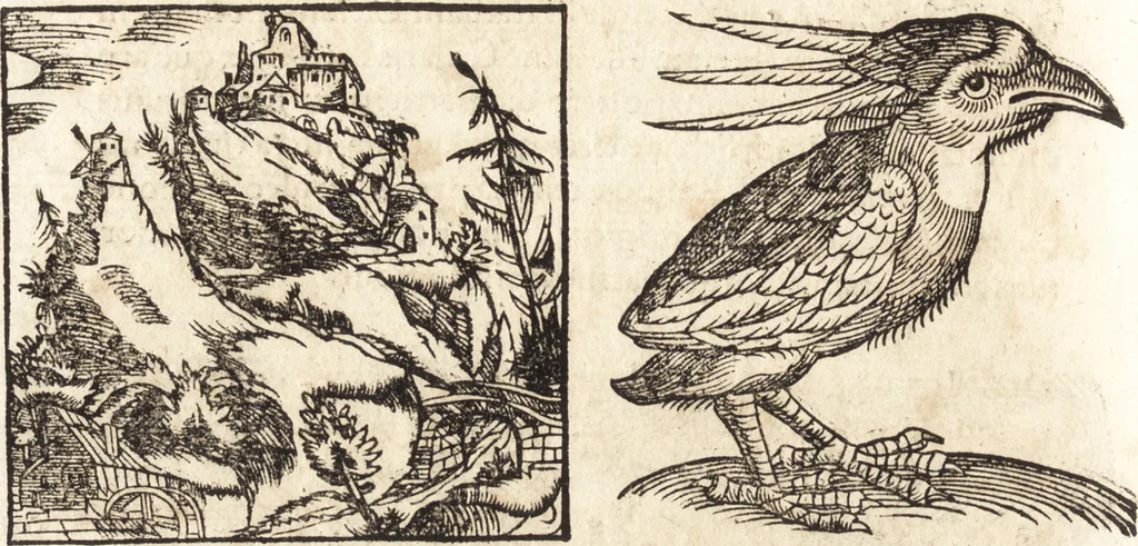 An illustration from Prodigiorvm ac ostentorvm chronicon : quae praeter naturae ordinem, motum, et operationem, et in svperioribus & his inferioribus mundi regionibus, ab exordio mundi usque ad haec nostra tempora, acciderunt ..., 1557, leaf 253