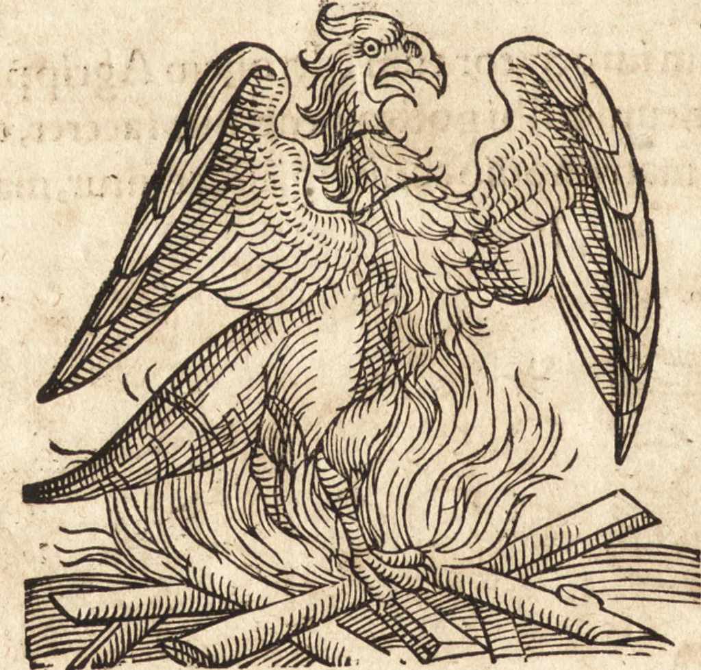 An illustration from Prodigiorvm ac ostentorvm chronicon : quae praeter naturae ordinem, motum, et operationem, et in svperioribus & his inferioribus mundi regionibus, ab exordio mundi usque ad haec nostra tempora, acciderunt ..., 1557, leaf 257