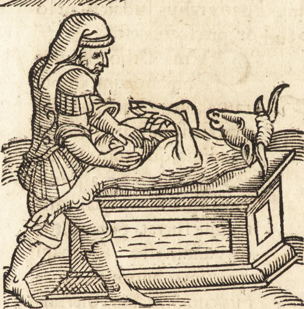 An illustration from Prodigiorvm ac ostentorvm chronicon : quae praeter naturae ordinem, motum, et operationem, et in svperioribus & his inferioribus mundi regionibus, ab exordio mundi usque ad haec nostra tempora, acciderunt ..., 1557, leaf 263