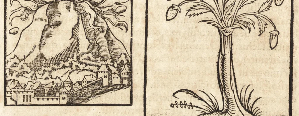 An illustration from Prodigiorvm ac ostentorvm chronicon : quae praeter naturae ordinem, motum, et operationem, et in svperioribus & his inferioribus mundi regionibus, ab exordio mundi usque ad haec nostra tempora, acciderunt ..., 1557, leaf 267