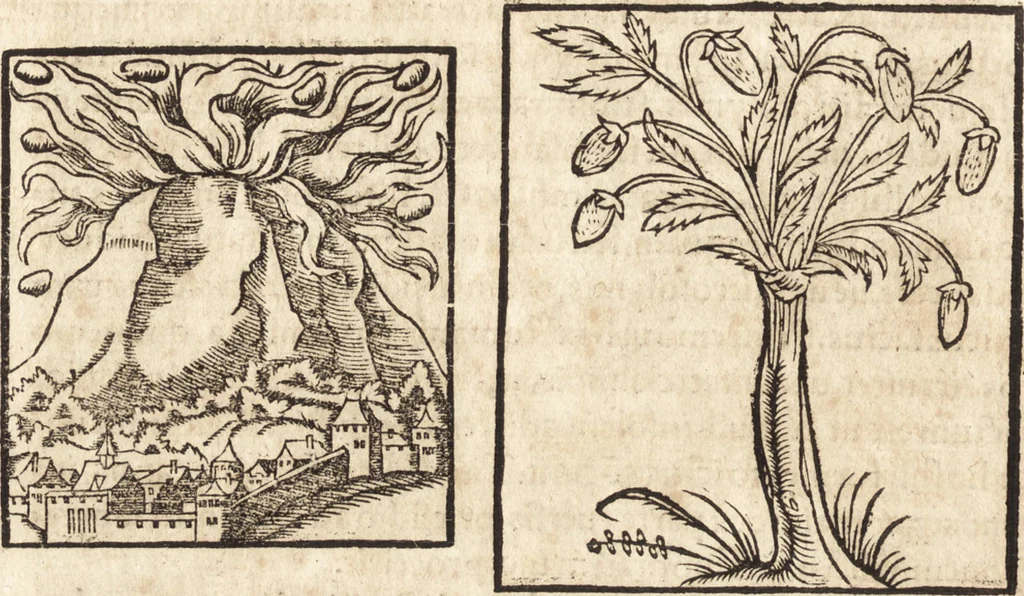 An illustration from Prodigiorvm ac ostentorvm chronicon : quae praeter naturae ordinem, motum, et operationem, et in svperioribus & his inferioribus mundi regionibus, ab exordio mundi usque ad haec nostra tempora, acciderunt ..., 1557, leaf 267