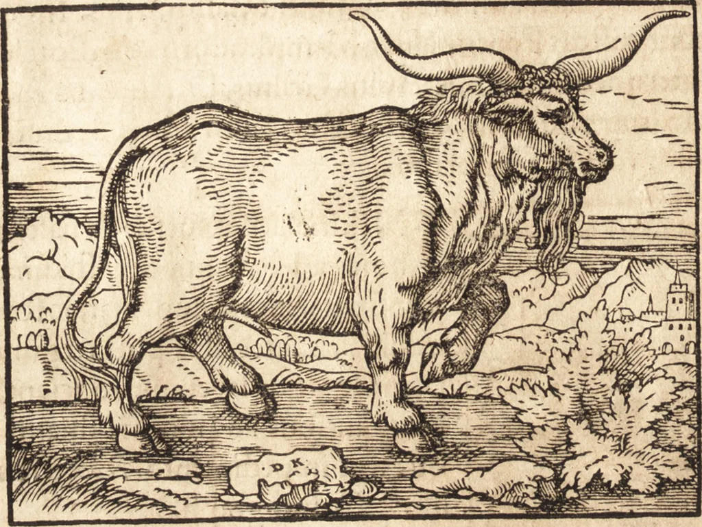 An illustration from Prodigiorvm ac ostentorvm chronicon : quae praeter naturae ordinem, motum, et operationem, et in svperioribus & his inferioribus mundi regionibus, ab exordio mundi usque ad haec nostra tempora, acciderunt ..., 1557, leaf 27