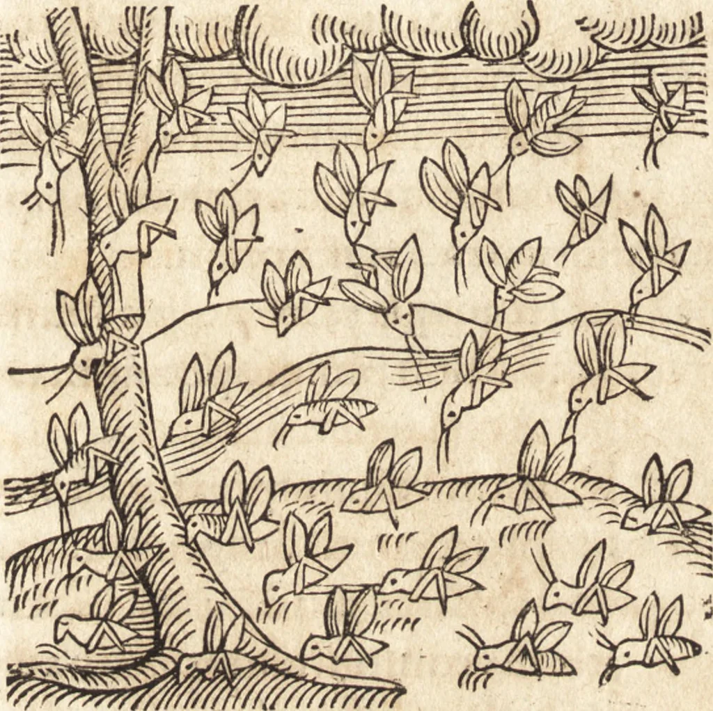 An illustration from Prodigiorvm ac ostentorvm chronicon : quae praeter naturae ordinem, motum, et operationem, et in svperioribus & his inferioribus mundi regionibus, ab exordio mundi usque ad haec nostra tempora, acciderunt ..., 1557, leaf 273