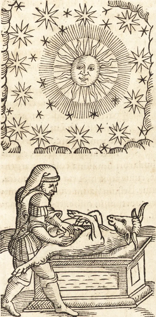 An illustration from Prodigiorvm ac ostentorvm chronicon : quae praeter naturae ordinem, motum, et operationem, et in svperioribus & his inferioribus mundi regionibus, ab exordio mundi usque ad haec nostra tempora, acciderunt ..., 1557, leaf 276
