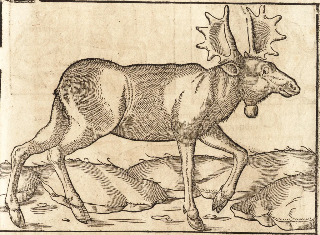An illustration from Prodigiorvm ac ostentorvm chronicon : quae praeter naturae ordinem, motum, et operationem, et in svperioribus & his inferioribus mundi regionibus, ab exordio mundi usque ad haec nostra tempora, acciderunt ..., 1557, leaf 28
