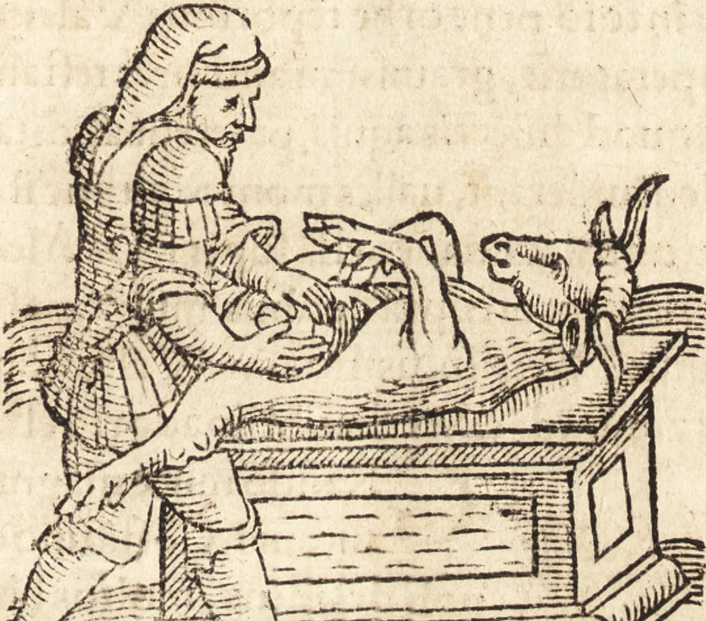 An illustration from Prodigiorvm ac ostentorvm chronicon : quae praeter naturae ordinem, motum, et operationem, et in svperioribus & his inferioribus mundi regionibus, ab exordio mundi usque ad haec nostra tempora, acciderunt ..., 1557, leaf 288
