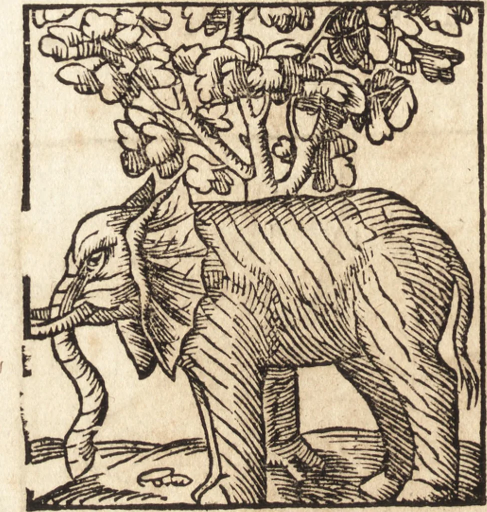 An illustration from Prodigiorvm ac ostentorvm chronicon : quae praeter naturae ordinem, motum, et operationem, et in svperioribus & his inferioribus mundi regionibus, ab exordio mundi usque ad haec nostra tempora, acciderunt ..., 1557, leaf 29