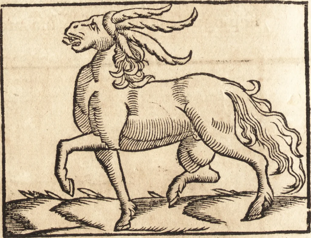 An illustration from Prodigiorvm ac ostentorvm chronicon : quae praeter naturae ordinem, motum, et operationem, et in svperioribus & his inferioribus mundi regionibus, ab exordio mundi usque ad haec nostra tempora, acciderunt ..., 1557, leaf 29
