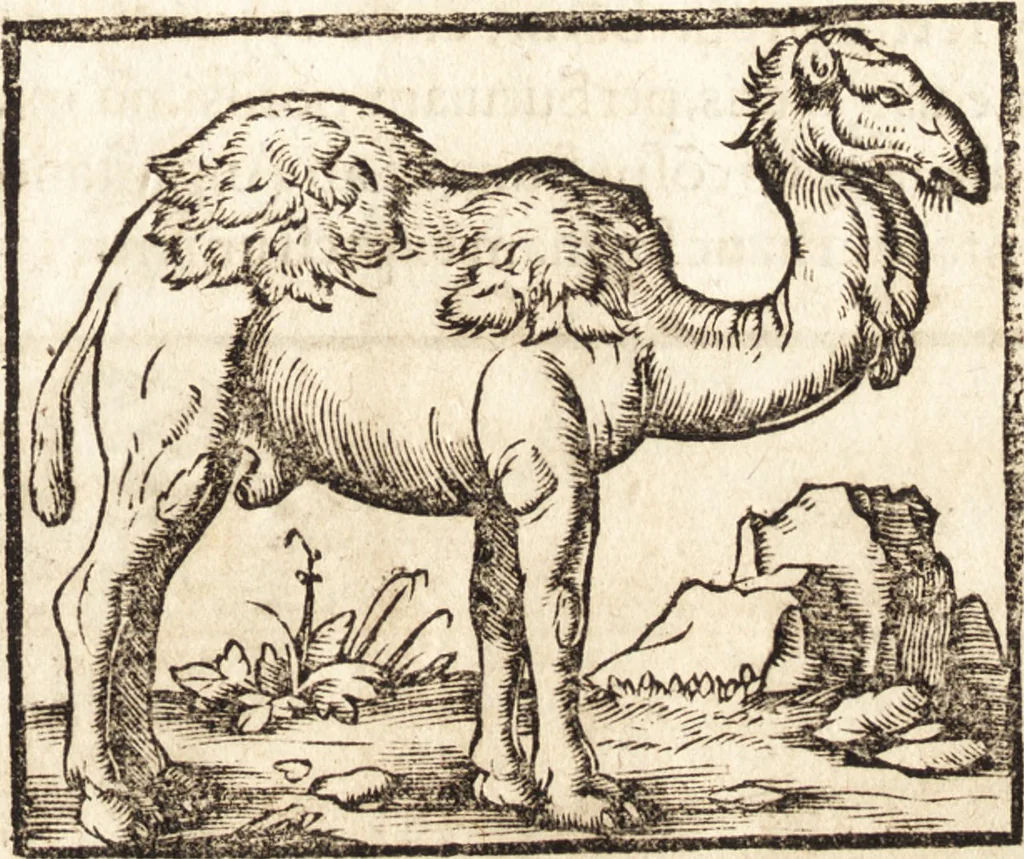 An illustration from Prodigiorvm ac ostentorvm chronicon : quae praeter naturae ordinem, motum, et operationem, et in svperioribus & his inferioribus mundi regionibus, ab exordio mundi usque ad haec nostra tempora, acciderunt ..., 1557, leaf 30