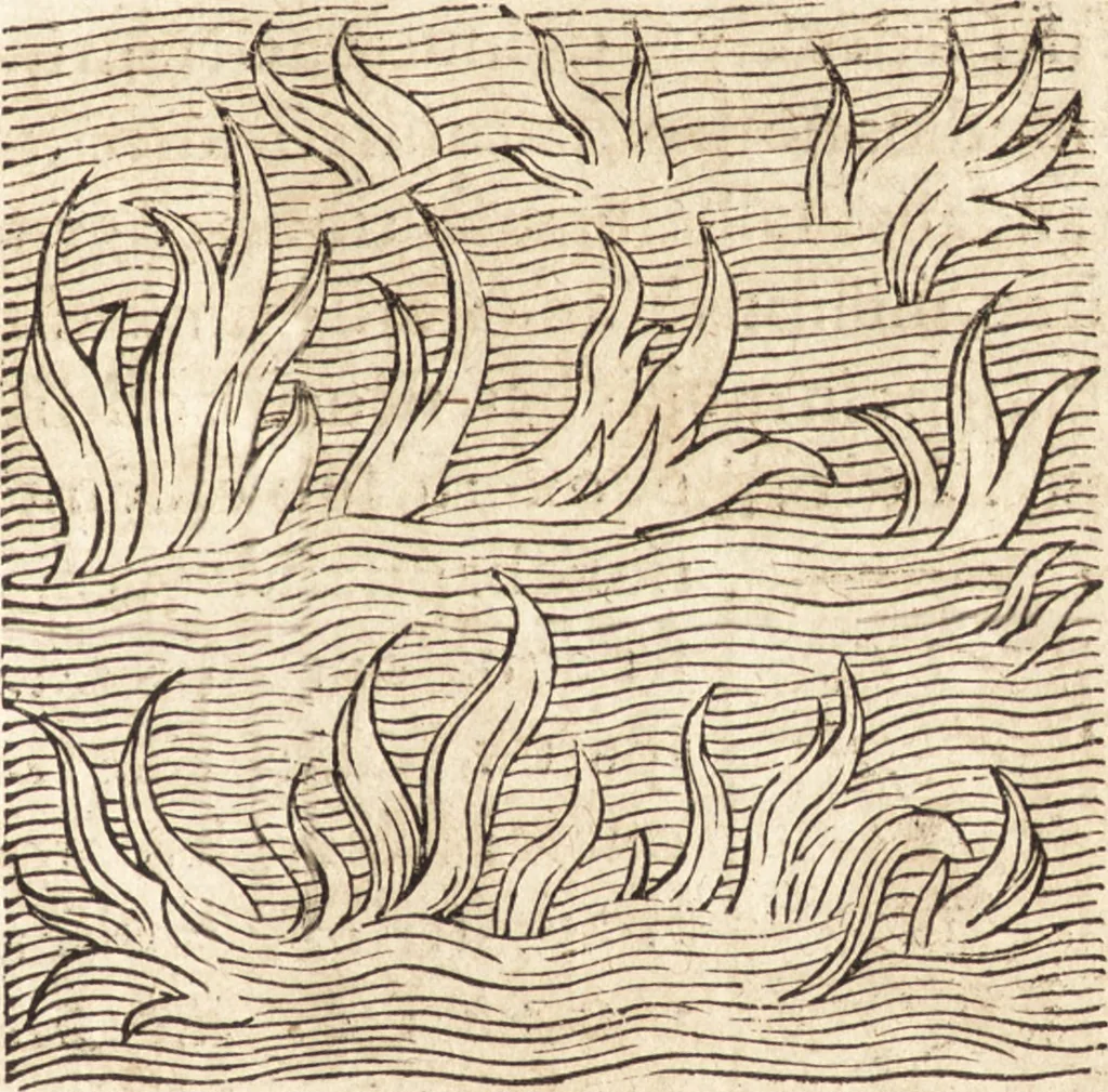An illustration from Prodigiorvm ac ostentorvm chronicon : quae praeter naturae ordinem, motum, et operationem, et in svperioribus & his inferioribus mundi regionibus, ab exordio mundi usque ad haec nostra tempora, acciderunt ..., 1557, leaf 300