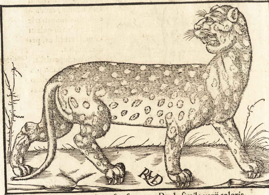 An illustration from Prodigiorvm ac ostentorvm chronicon : quae praeter naturae ordinem, motum, et operationem, et in svperioribus & his inferioribus mundi regionibus, ab exordio mundi usque ad haec nostra tempora, acciderunt ..., 1557, leaf 31