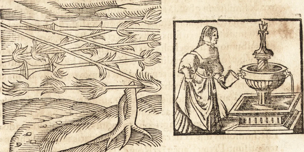 An illustration from Prodigiorvm ac ostentorvm chronicon : quae praeter naturae ordinem, motum, et operationem, et in svperioribus & his inferioribus mundi regionibus, ab exordio mundi usque ad haec nostra tempora, acciderunt ..., 1557, leaf 318