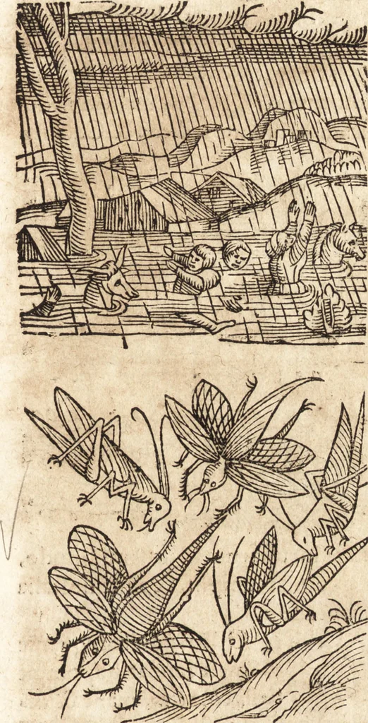 An illustration from Prodigiorvm ac ostentorvm chronicon : quae praeter naturae ordinem, motum, et operationem, et in svperioribus & his inferioribus mundi regionibus, ab exordio mundi usque ad haec nostra tempora, acciderunt ..., 1557, leaf 324
