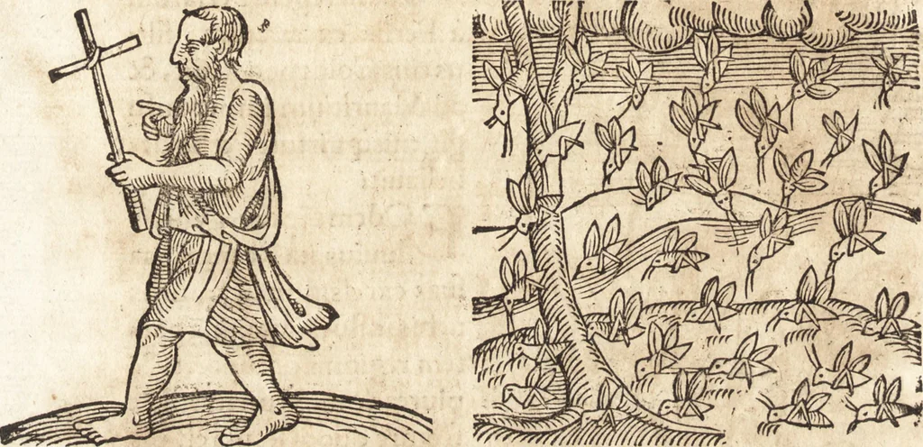 An illustration from Prodigiorvm ac ostentorvm chronicon : quae praeter naturae ordinem, motum, et operationem, et in svperioribus & his inferioribus mundi regionibus, ab exordio mundi usque ad haec nostra tempora, acciderunt ..., 1557, leaf 325