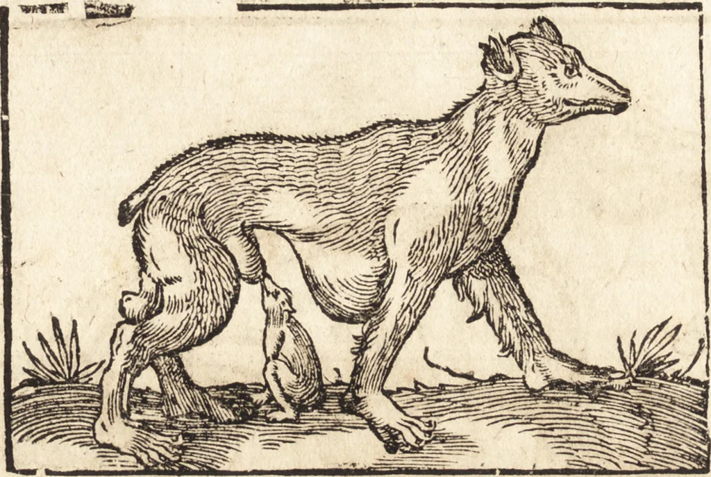 An illustration from Prodigiorvm ac ostentorvm chronicon : quae praeter naturae ordinem, motum, et operationem, et in svperioribus & his inferioribus mundi regionibus, ab exordio mundi usque ad haec nostra tempora, acciderunt ..., 1557, leaf 33