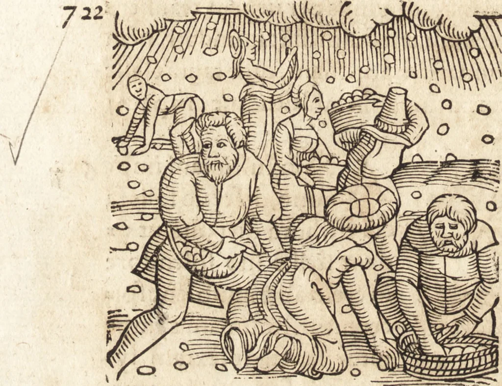 An illustration from Prodigiorvm ac ostentorvm chronicon : quae praeter naturae ordinem, motum, et operationem, et in svperioribus & his inferioribus mundi regionibus, ab exordio mundi usque ad haec nostra tempora, acciderunt ..., 1557, leaf 339