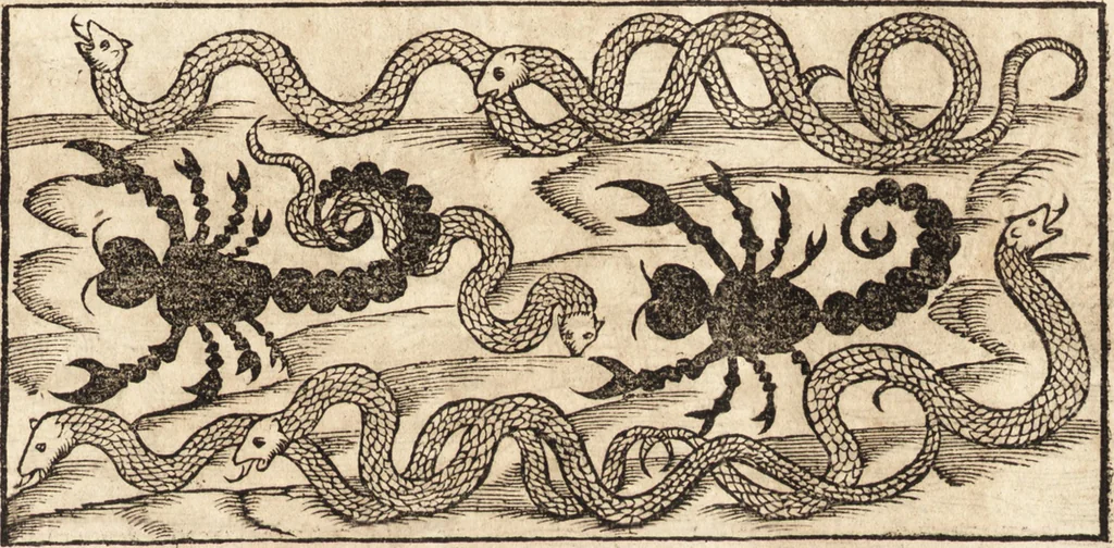 An illustration from Prodigiorvm ac ostentorvm chronicon : quae praeter naturae ordinem, motum, et operationem, et in svperioribus & his inferioribus mundi regionibus, ab exordio mundi usque ad haec nostra tempora, acciderunt ..., 1557, leaf 34