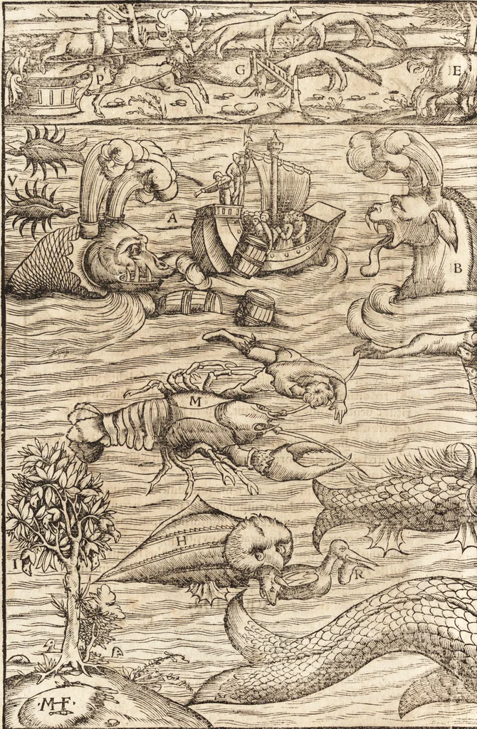 An illustration from Prodigiorvm ac ostentorvm chronicon : quae praeter naturae ordinem, motum, et operationem, et in svperioribus & his inferioribus mundi regionibus, ab exordio mundi usque ad haec nostra tempora, acciderunt ..., 1557, leaf 35